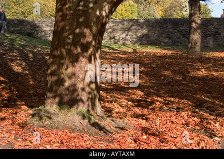 Kirkstall Abbey erdet Leeds, West Yorkshire UK Herbst 2007 Stockfoto