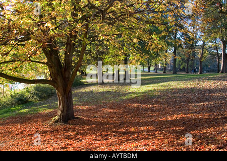 Kirkstall Abbey erdet Leeds, West Yorkshire UK Herbst 2007 Stockfoto