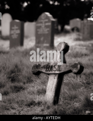 Ein hölzernes Kreuz auf dem Friedhof, einfach markierte "Basil". Stockfoto