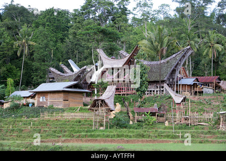 Indonesien, Dorf mit Tongkonan Häuser (Reis Lagerhallen). Sulawesi-Insel in der Nähe von Rantepao Stockfoto