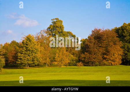 Herbstfärbung in Earlham Park Norwich Norfolk England mit grünem Rasen und leuchtend bunten Bäumen Stockfoto