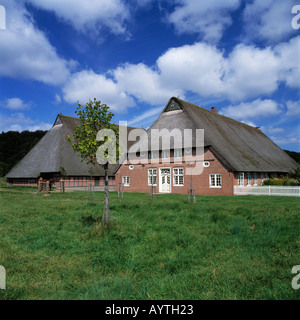 Bauernhaus Schmielau Und Winkelscheune aus Sueddithmarschen Im Freilichtmuseum Molfsee Bei Kiel, Kieler Foerde, Ostsee, Schleswig-Holstein Stockfoto