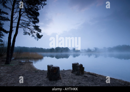 Die Morgendämmerung leuchtet der Unterseite der Wolken an einem Frühlingsmorgen (2008) an Frensham Teiche, Farnham, Surrey. Stockfoto