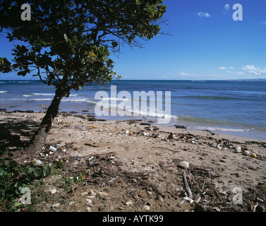 verschmutzter Strand, Abfall, gestrandet, gut, Umwelt, Umweltverschmutzung, DOM-Puerto Plata, Dominikanische Republik, Karibik, Long Beach Stockfoto