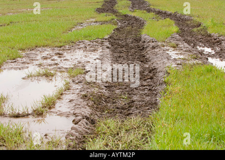 Traktor verfolgt in einem nassen Feld der Wintergerste Penrith, Cumbria Stockfoto