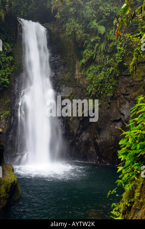 Templo Wasserfall im Regenwald in La Paz Wasserfall Gärten Costa Rica Stockfoto