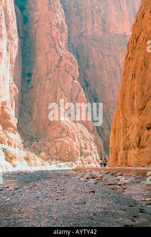 Todra Schlucht in der Nähe von Tinghir, Marokko, Nordwest-Afrika Stockfoto