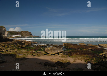 Von White Park Bay Stockfoto