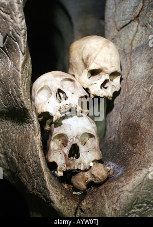 Indonesien: Schädel in einer Grabkammer der Höhlen Gräber im Londa, Insel Sulawesi Stockfoto