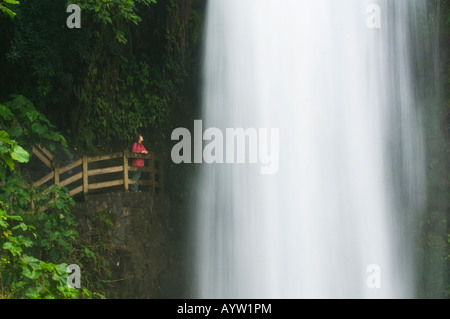 Magia Blanca Wasserfall, La Paz Tal, Poas Vulkan, Costarica Stockfoto