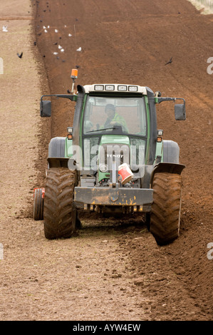 Fendt Traktor Pflügen mit einem reversiblen Pflug in Vorbereitung für die Pflanzung Kartoffeln Penrith, Cumbria Stockfoto