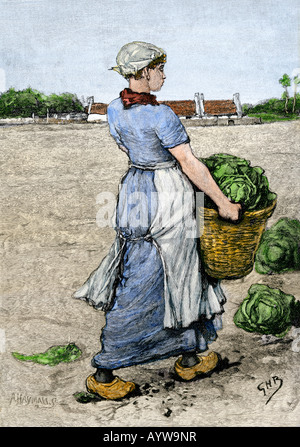 Junge holländische Frau sammeln Kohl in einem Korb 1800. Hand - farbige Holzschnitt Stockfoto