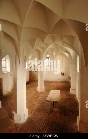 St. Petri, Brandenburg, Deutschland 2008 # St. Petri, Brandenburg, Deutschland 2008 Stockfoto