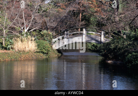 Verwitterte Holz gewölbte japanischen Stil Brücke spiegelt sich in der noch See botanischen Gärten Fort Worth Texas uns 2004 Stockfoto