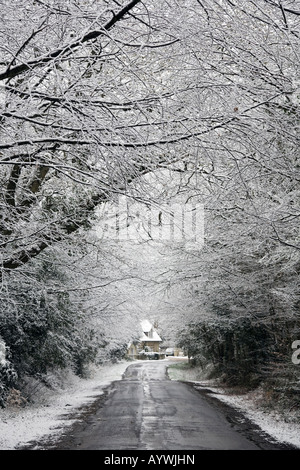 Schneebedeckte Zweige einer Gasse in einem Ferienhaus suchen Stockfoto
