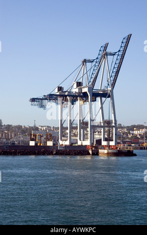 Kräne im Hafen von Auckland, New Zealand Stockfoto