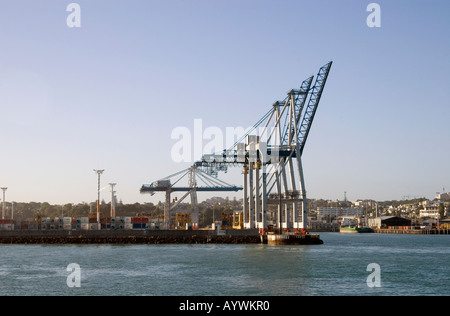 Kräne im Hafen von Auckland, New Zealand Stockfoto