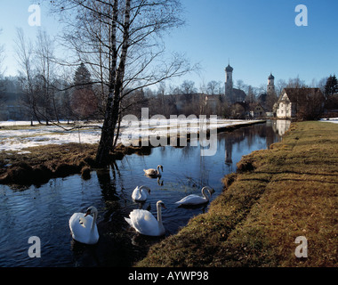 Winterliche Flusslandschaft der Ach Mit Schwaenen, St. Georgkirche Und Nikolaikirche, Isny Im Allgäu, Baden-Württemberg Stockfoto