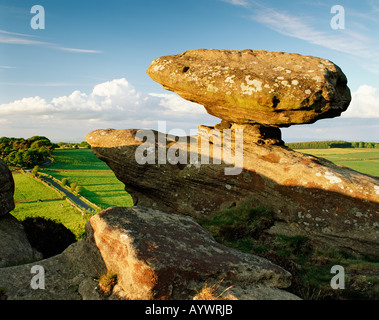 GB YORKSHIRE BRIMHAM ROCKS NIDDERDALE Stockfoto