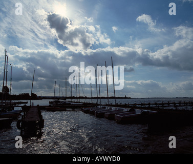 Duemmer See, Bootsanlegeplatz, werden, Gewitterstimmung, Dunkle Wolken am Himmel, Gegenlicht, Lembruch, Naturpark Duemmer, Niedersachsen Stockfoto
