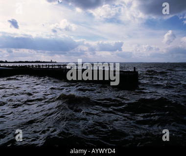 Duemmer See, Bootsanlegeplatz, werden, Gewitterstimmung, Dunkle Wolken am Himmel, Gegenlicht, Lembruch, Naturpark Duemmer, Niedersachsen Stockfoto