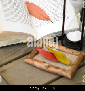 Laub auf das geöffnete Buch Stockfoto