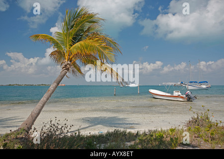 Tropischen Blick auf Isla Mujeres, Quintana Roo, Mexiko Stockfoto