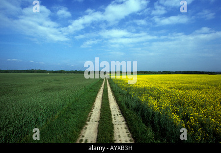 DEUTSCHLAND POINT ALPHA DDR NUKLEARE ATOMAREN FULDA GAP KALTEN KRIEGES BEOBACHTUNG Stockfoto