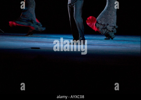 Flamenco-Tanz auf der Bühne 29. Januar 2005 Stockfoto