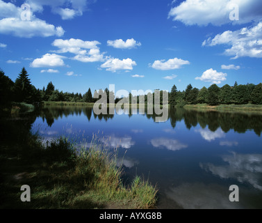 Waldsee, Ruhiger See in Einer Waldlandschaft, Schoenwetterwolken, Schaefchenwolken, gröberen Kranicher Teich, Goslar-Hahnenklee-Bockswiese, Naturpark H Stockfoto