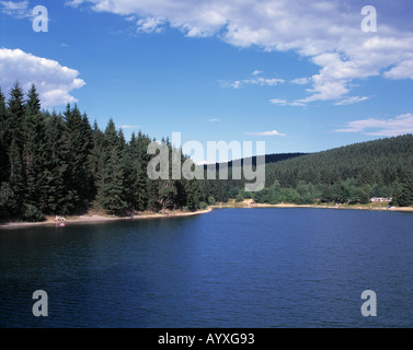 Waldsee, Ruhiger See in Einer Waldlandschaft, Nadelwald, Oberer Grumbacher Teich, Goslar-Hahnenklee-Bockswiese, Naturpark Harz, Niedersachsen Stockfoto