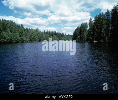 Silberteich, Waldsee, Ruhiger sehen in Einer Waldlandschaft Mit Nadelbaeumen, Braunlage, Harz, Naturpark Harz, Niedersachsen Stockfoto