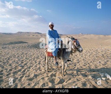 Ägypten, ägyptische auf einem Esel reitend Wüste Stockfoto