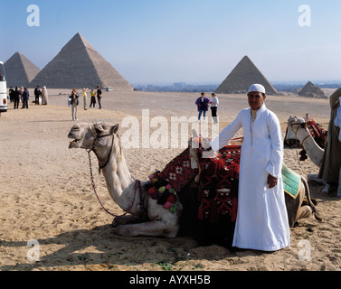 ET-Giseh, Cheops-Pyramide, Chephren-Pyramide, Ägypten, Mykerinos-Pyramide, Kamel-Treiber, Dromedar, UNESCO-Weltkulturerbe Stockfoto