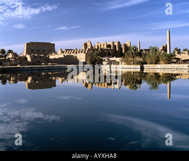 Ausgrabungsgelaende, Tempelbezirk Karnak, Tempelruinen, Heiliger Stuhl, Spiegelt Sich Im Tempel sehen, Wasserspiegelung, Karnak, Oberaegypten Stockfoto