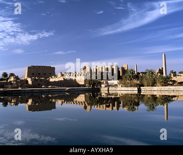 Ausgrabungsgelaende, Tempelbezirk Karnak, Tempelruinen, Heiliger Stuhl, Spiegelt Sich Im Tempel sehen, Wasserspiegelung, Karnak, Oberaegypten Stockfoto