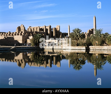 Ausgrabungsgelaende, Tempelbezirk Karnak, Tempelruinen, Heiliger Stuhl, Spiegelt Sich Im Tempel sehen, Wasserspiegelung, Karnak, Oberaegypten Stockfoto