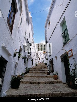 Staelebank Enge Gasse, Weisse Haeuser, Weisse Stadt, Frigiliana, Malaga, Andalusien Stockfoto