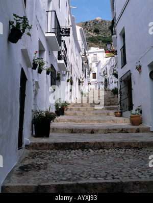 Staelebank Enge Gasse, Weisse Haeuser, Weisse Stadt, Frigiliana, Malaga, Andalusien Stockfoto