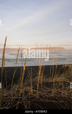 Sanddünen am Ofulsa Mündung südlich von Reykjavik, Island Stockfoto