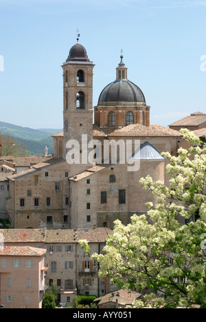 Urbino ist eine Renaissance-Stadt in Le Marche Italien Geburtsort von Raphael Santi des berühmten Malers Stockfoto