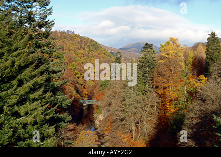 Sonniger Herbst Blick auf Brücke über Garry River in der Nähe von Killiecrankie in Perthshire Schottland Stockfoto