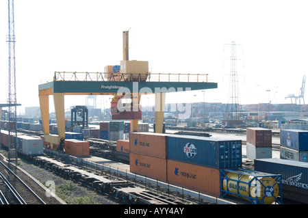 Container auf Eisenbahnwaggons Freightliner Terminals in Southampton Docks aufgehoben wird Stockfoto