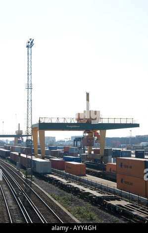 Container auf Eisenbahnwaggons Freightliner Terminals in Southampton Docks aufgehoben wird Stockfoto