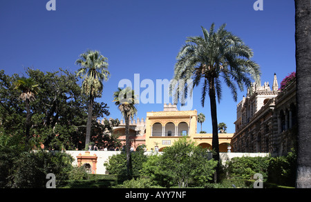 Real Alcazar Sevilla Gärten 2 Stockfoto