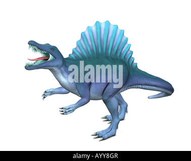 Spinosaurus mit 3D-Anwendungen erstellt. Spinosaurus ist eines der späten Kreidezeit Dinosaurier mit einem "Segel" auf dem Rücken. Stockfoto