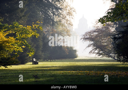 A wooden seat is lit by early morning autumn sunshine at Westonbirt Arboretum in Gloucestershire UK Stockfoto
