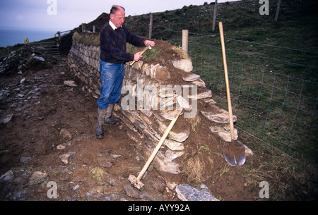 Aufbau einer traditionellen kornischen Hecke einer Trockensteinmauer gefüllt mit Boden-Wand gefunden in Cornwall Stockfoto