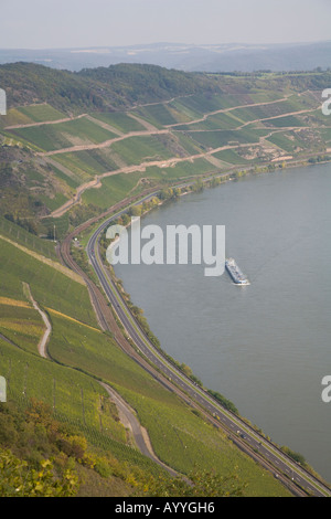 Blick über die Bopparder Hamm Weinbauregion am linken Ufer des Rheins im deutschen Mitte-Rheintal Stockfoto