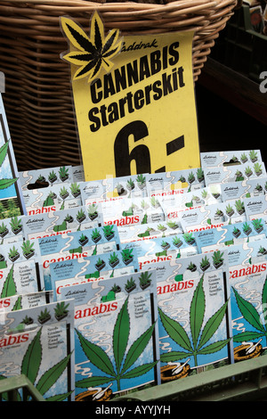 Cannabis-Starter-Kits für Verkauf in den Bloemenmarkt Amsterdam Niederlande Nord-Holland-Europa Stockfoto